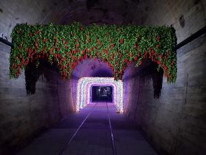 문경의 새로운 명물 오미자 테마터널 탄생