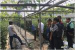 농촌진흥청, 스마트팜 농가 육성 위한 현장기술 지원 나서